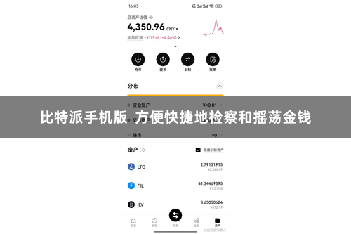 比特派手机版 方便快捷地检察和摇荡金钱