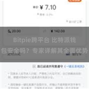 Bitpie跨平台 比特派钱包安全吗？专家详解其全面优势