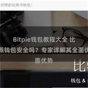 Bitpie钱包教程大全 比特派钱包安全吗？专家详解其全面优势