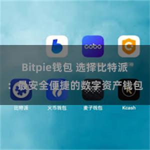 Bitpie钱包 选择比特派：最安全便捷的数字资产钱包