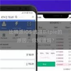 比特派iOS 选择Bitpie的原因，你知道吗？