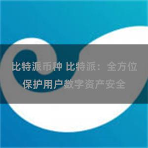 比特派币种 比特派：全方位保护用户数字资产安全