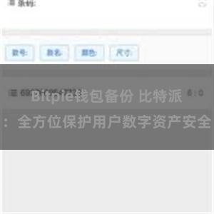 Bitpie钱包备份 比特派：全方位保护用户数字资产安全