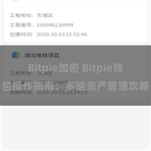 Bitpie加密 Bitpie钱包操作指南：多链资产管理攻略