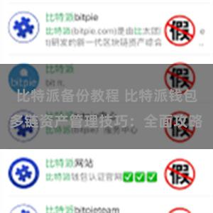 比特派备份教程 比特派钱包多链资产管理技巧：全面攻略