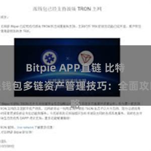 Bitpie APP直链 比特派钱包多链资产管理技巧：全面攻略