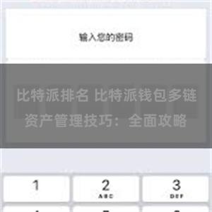 比特派排名 比特派钱包多链资产管理技巧：全面攻略