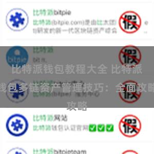 比特派钱包教程大全 比特派钱包多链资产管理技巧：全面攻略