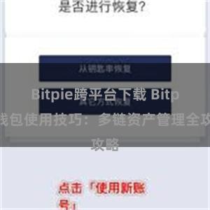 Bitpie跨平台下载 Bitpie钱包使用技巧：多链资产管理全攻略