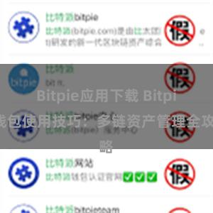 Bitpie应用下载 Bitpie钱包使用技巧：多链资产管理全攻略