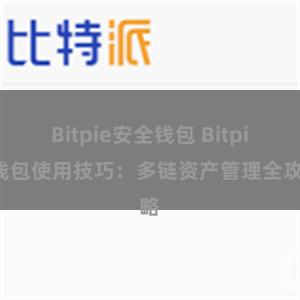 Bitpie安全钱包 Bitpie钱包使用技巧：多链资产管理全攻略