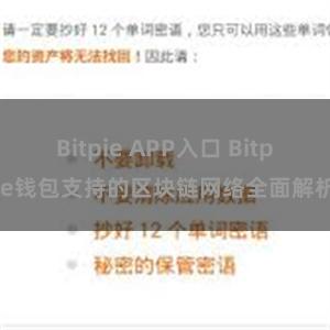 Bitpie APP入口 Bitpie钱包支持的区块链网络全面解析