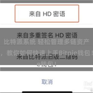 比特派系统 轻松管理多链资产，教你如何快速上手Bitpie钱包！