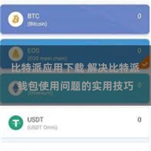 比特派应用下载 解决比特派钱包使用问题的实用技巧