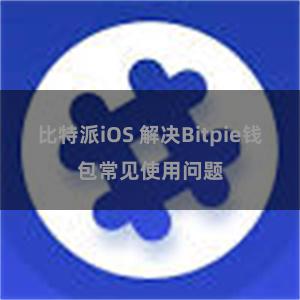 比特派iOS 解决Bitpie钱包常见使用问题