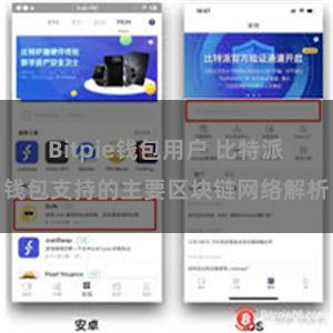 Bitpie钱包用户 比特派钱包支持的主要区块链网络解析