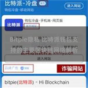 Bitpie隐私 比特派钱包支持的主要区块链网络解析