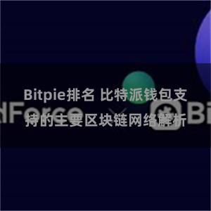 Bitpie排名 比特派钱包支持的主要区块链网络解析