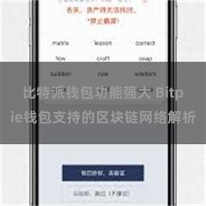 比特派钱包功能强大 Bitpie钱包支持的区块链网络解析