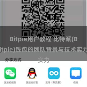 Bitpie用户教程 比特派(Bitpie)钱包的团队背景与技术实力