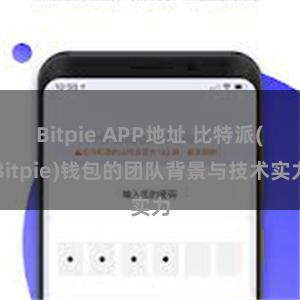 Bitpie APP地址 比特派(Bitpie)钱包的团队背景与技术实力