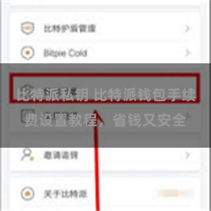 比特派私钥 比特派钱包手续费设置教程，省钱又安全