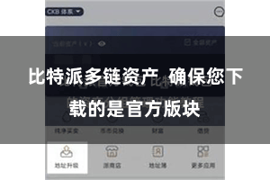 比特派多链资产  确保您下载的是官方版块