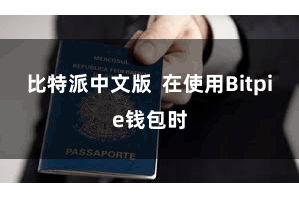 比特派中文版  在使用Bitpie钱包时