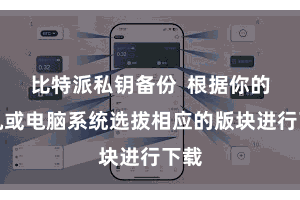 比特派私钥备份  根据你的手机或电脑系统选拔相应的版块进行下载
