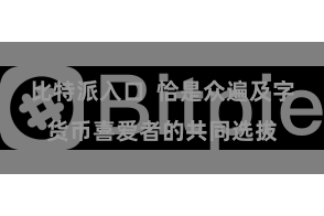 比特派入口  恰是众遍及字货币喜爱者的共同选拔